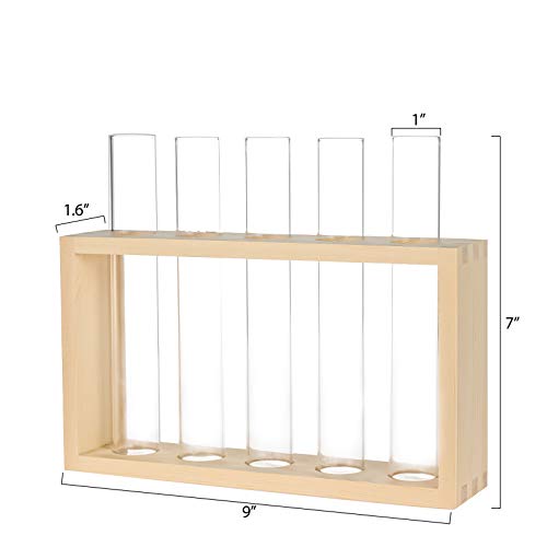 PACDONA Wall Hanging Glass Test Tube Planter Propagation Station G...
