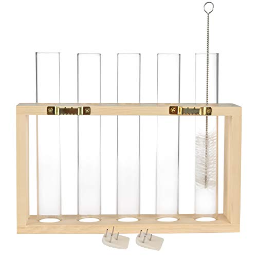PACDONA Wall Hanging Glass Test Tube Planter Propagation Station G...