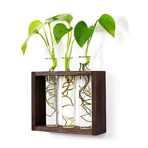 PACDONA Wall Hanging Glass Test Tube Planter Propagation Station G...