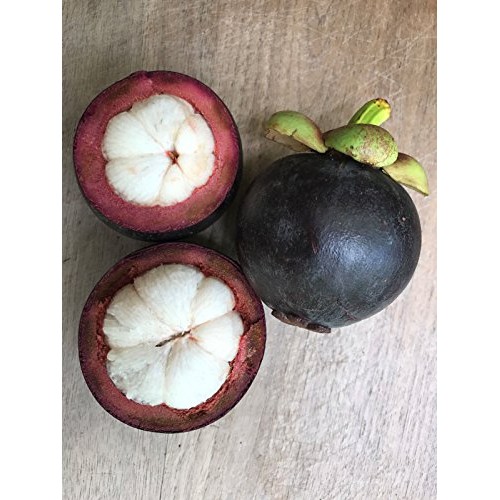 Purple Mangosteen Garcinia Mangostana Florida Tropical King Fruit ...