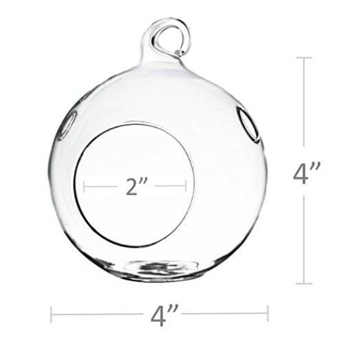 GEOLUX Set of 6 Hanging Glass Globe Plant Terrariums - Glass Orbs ...