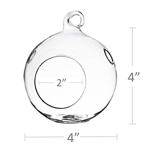 GEOLUX Set of 6 Hanging Glass Globe Plant Terrariums - Glass Orbs ...
