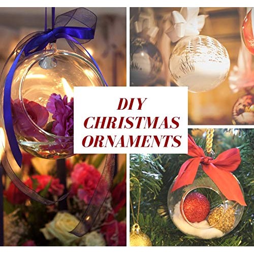 GEOLUX Set of 6 Hanging Glass Globe Plant Terrariums - Glass Orbs ...