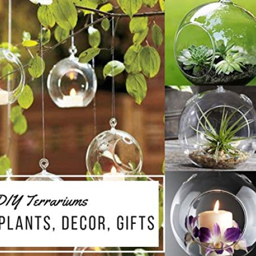 GEOLUX Set of 6 Hanging Glass Globe Plant Terrariums - Glass Orbs ...