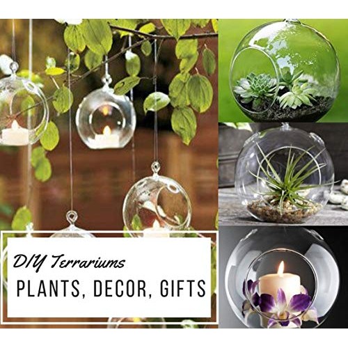 GEOLUX Set of 6 Hanging Glass Globe Plant Terrariums - Glass Orbs ...