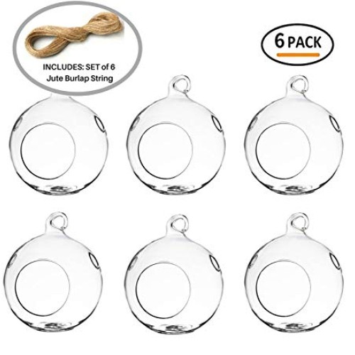 GEOLUX Set of 6 Hanging Glass Globe Plant Terrariums - Glass Orbs ...
