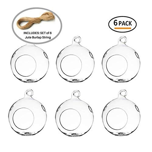 GEOLUX Set of 6 Hanging Glass Globe Plant Terrariums - Glass Orbs ...
