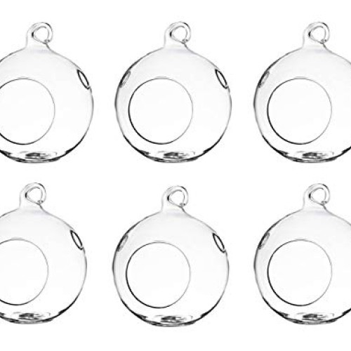 GEOLUX Set of 6 Hanging Glass Globe Plant Terrariums - Glass Orbs ...