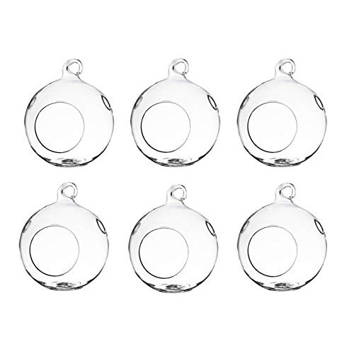 GEOLUX Set of 6 Hanging Glass Globe Plant Terrariums - Glass Orbs ...