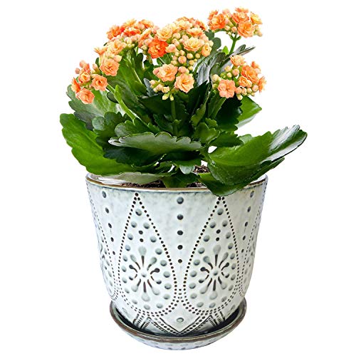 Gepege Ceramic Orchid Pot with Drainage Hole and Saucer for Plants...