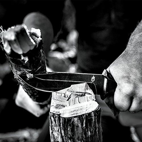 Gerber StrongArm Fixed Blade Knife with Fine Edge - Black