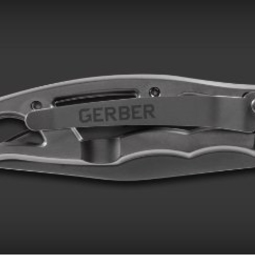 Gerber Paraframe Mini Knife, Fine Edge, Stainless Steel 22-48485