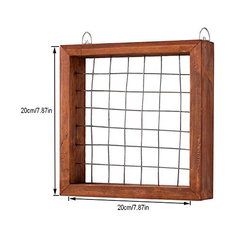 Air Plants Frame Bromeliads Wall Holder DIY Hanger Tillandsia Wall...