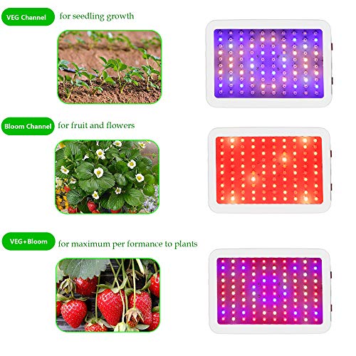 New Upgrade 1000W LED Grow Light, Dual Switch & Dual Chips Full Sp...