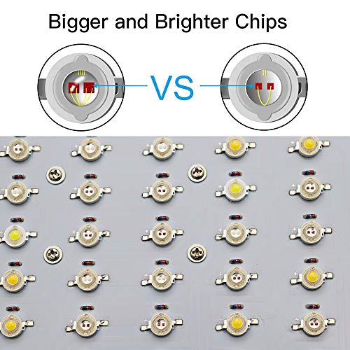 New Upgrade 1000W LED Grow Light, Dual Switch & Dual Chips Full Sp...