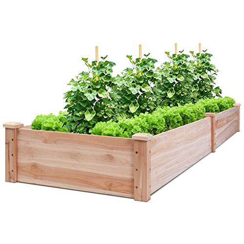 Giantex Raised Garden Bed Planter, Wooden Elevated Vegetable Plant...