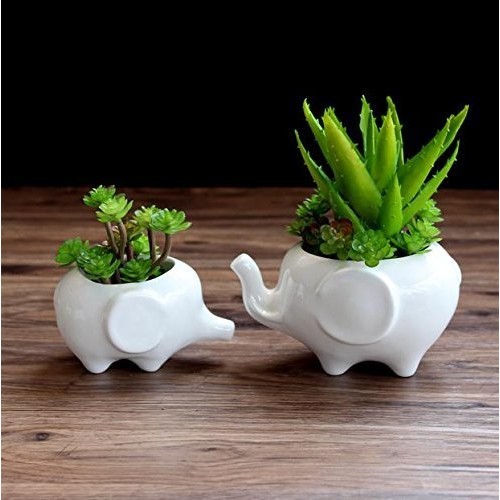 Gift Pro Elephant Plant Window Boxes With Tray Set of 2 Cute Eleph...
