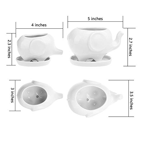 Gift Pro Elephant Plant Window Boxes With Tray Set of 2 Cute Eleph...