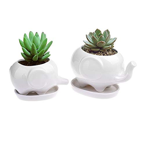 Gift Pro Elephant Plant Window Boxes With Tray Set of 2 Cute Eleph...