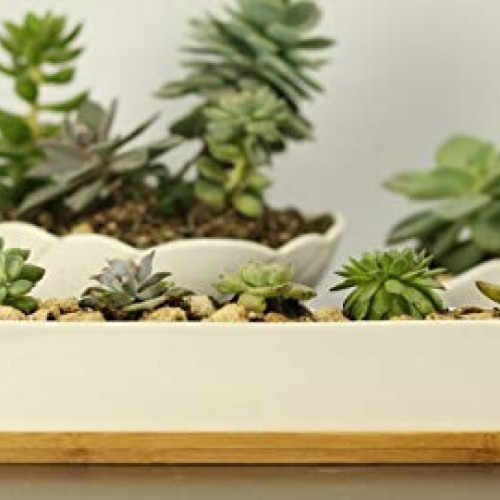 Gift Pro Plant Window Boxes 11.1 inch Long Rectangle White Ceramic...