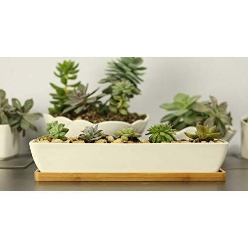 Gift Pro Plant Window Boxes 11.1 inch Long Rectangle White Ceramic...