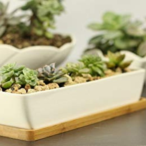 Gift Pro Plant Window Boxes 11.1 inch Long Rectangle White Ceramic...