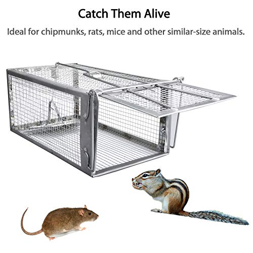 Gingbau Live Traps for Chipmunks Rats and Mice Set of 2