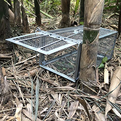 Gingbau Live Traps for Chipmunks Rats and Mice Set of 2