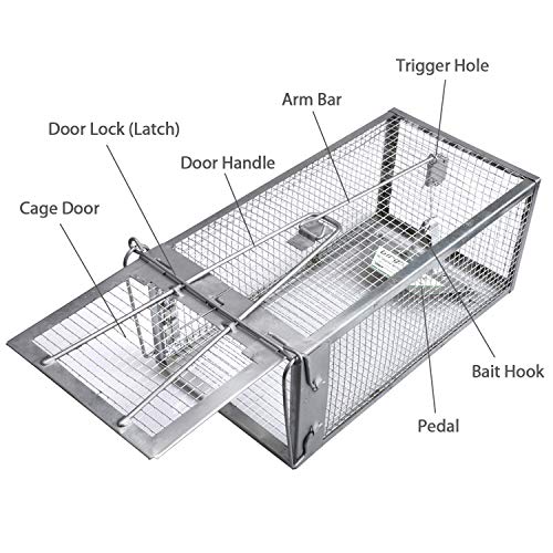 Gingbau Live Traps for Chipmunks Rats and Mice Set of 2