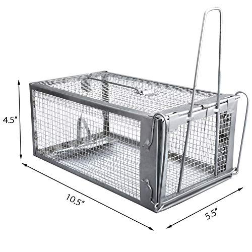 Gingbau Live Traps for Chipmunks Rats and Mice Set of 2