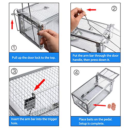 Gingbau Live Traps for Chipmunks Rats and Mice Set of 2