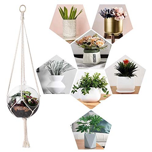 6 Pack Plant Hangers, Hanging Plant Holder Hanging Planter Stand D...
