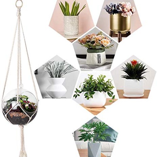 6 Pack Plant Hangers, Hanging Plant Holder Hanging Planter Stand D...