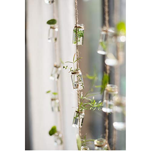 Hanging Planter Glass Terrarium Plants Container for Mini Air Plan...