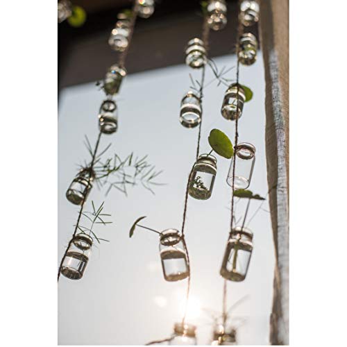 Hanging Planter Glass Terrarium Plants Container for Mini Air Plan...