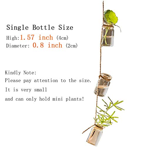Hanging Planter Glass Terrarium Plants Container for Mini Air Plan...
