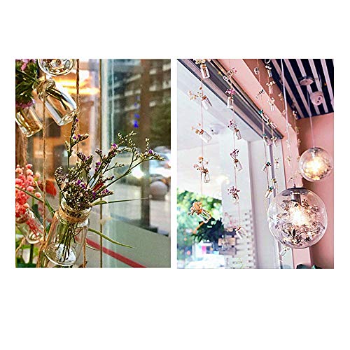 Hanging Planter Glass Terrarium Plants Container for Mini Air Plan...