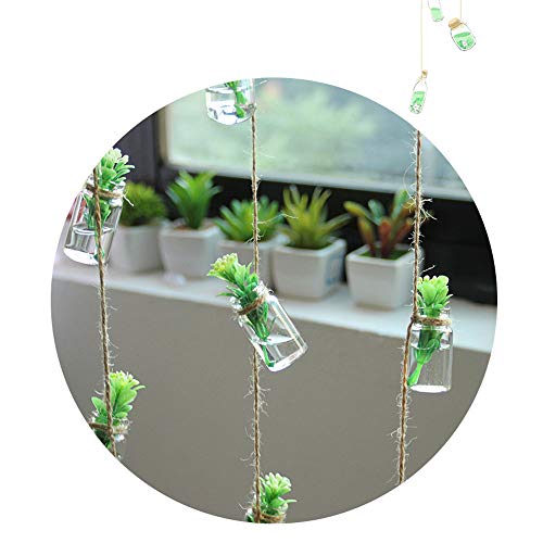Hanging Planter Glass Terrarium Plants Container for Mini Air Plan...