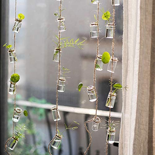 Hanging Planter Glass Terrarium Plants Container for Mini Air Plan...