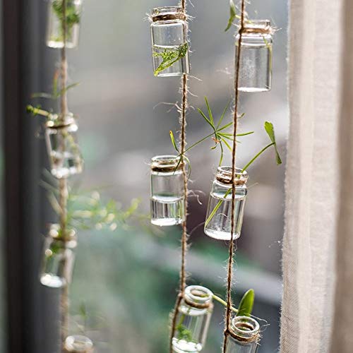 Hanging Planter Glass Terrarium Plants Container for Mini Air Plan...