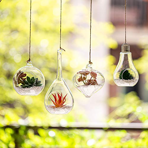 4 PCS Hanging Glass Terrarium Globes with Twine Rope Balls Decorat...