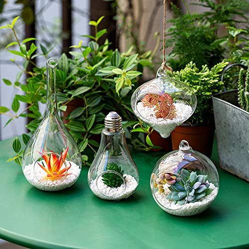 4 PCS Hanging Glass Terrarium Globes with Twine Rope Balls Decorat...
