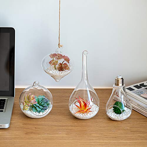 4 PCS Hanging Glass Terrarium Globes with Twine Rope Balls Decorat...