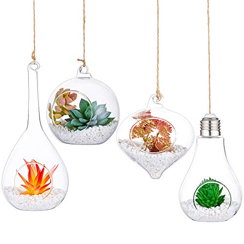 4 PCS Hanging Glass Terrarium Globes with Twine Rope Balls Decorat...
