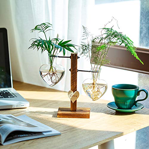 Glass Plant Terrarium with Wooden Stand, Creative Double Heart Gla...