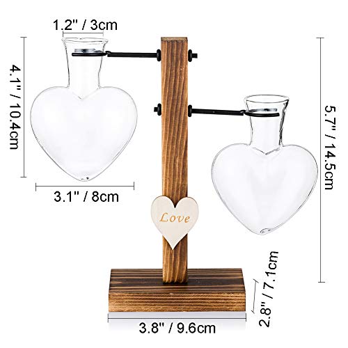 Glass Plant Terrarium with Wooden Stand, Creative Double Heart Gla...