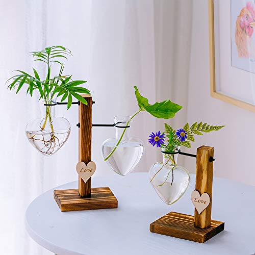 Glass Plant Terrarium with Wooden Stand, Creative Double Heart Gla...