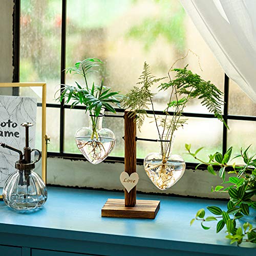 Glass Plant Terrarium with Wooden Stand, Creative Double Heart Gla...