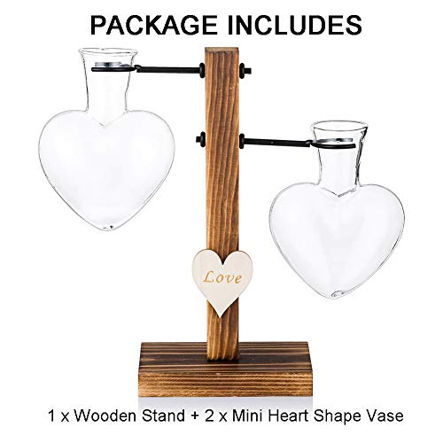 Glass Plant Terrarium with Wooden Stand, Creative Double Heart Gla...