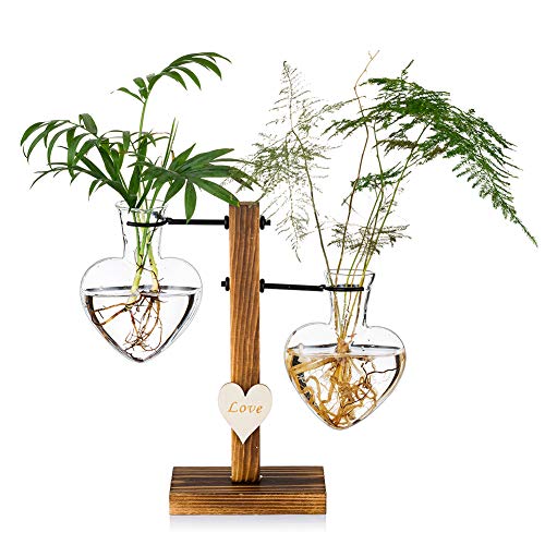 Glass Plant Terrarium with Wooden Stand, Creative Double Heart Gla...